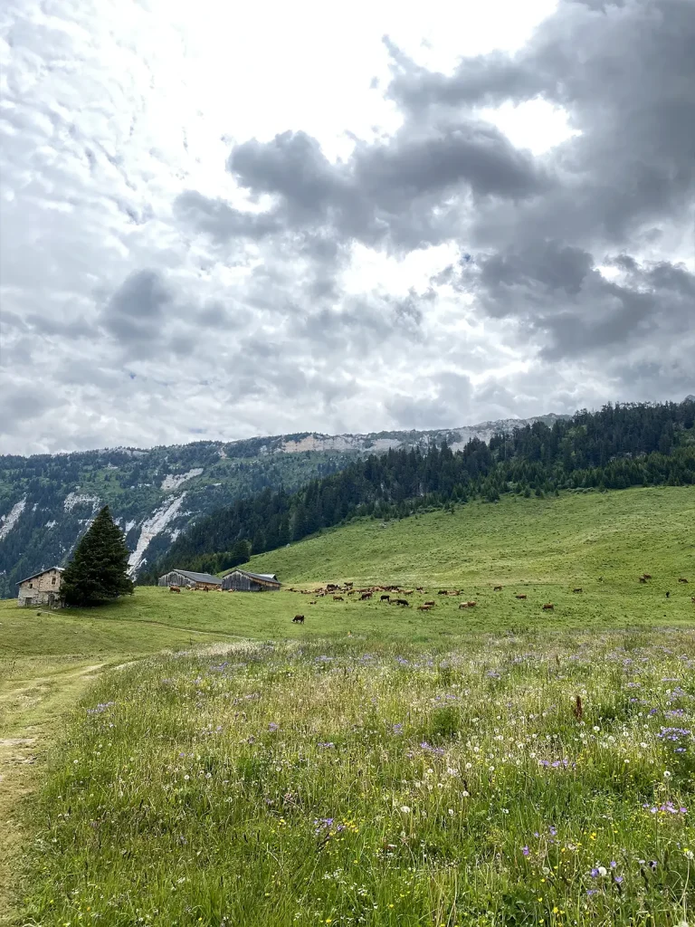 Lac Rosiere hiver 3 copie 3